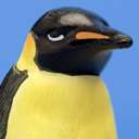 Misiek Avatar